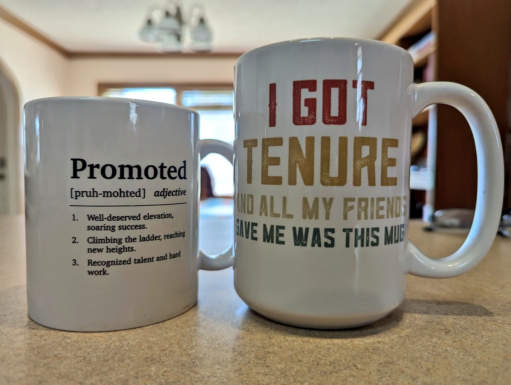 Karin Ardon-Dryer tweet media