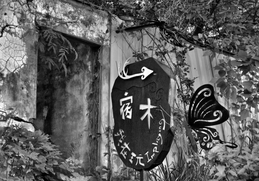 Closed shop in Dulan, Taiwan
#dulan #taitung #taiwan #bnw_sundays #bnwmood #bnwmoods #bnw #bnwphotography #blackandwhite #blackandwhitephotography #travelphotography #asia #asiatravel #asiaphotography