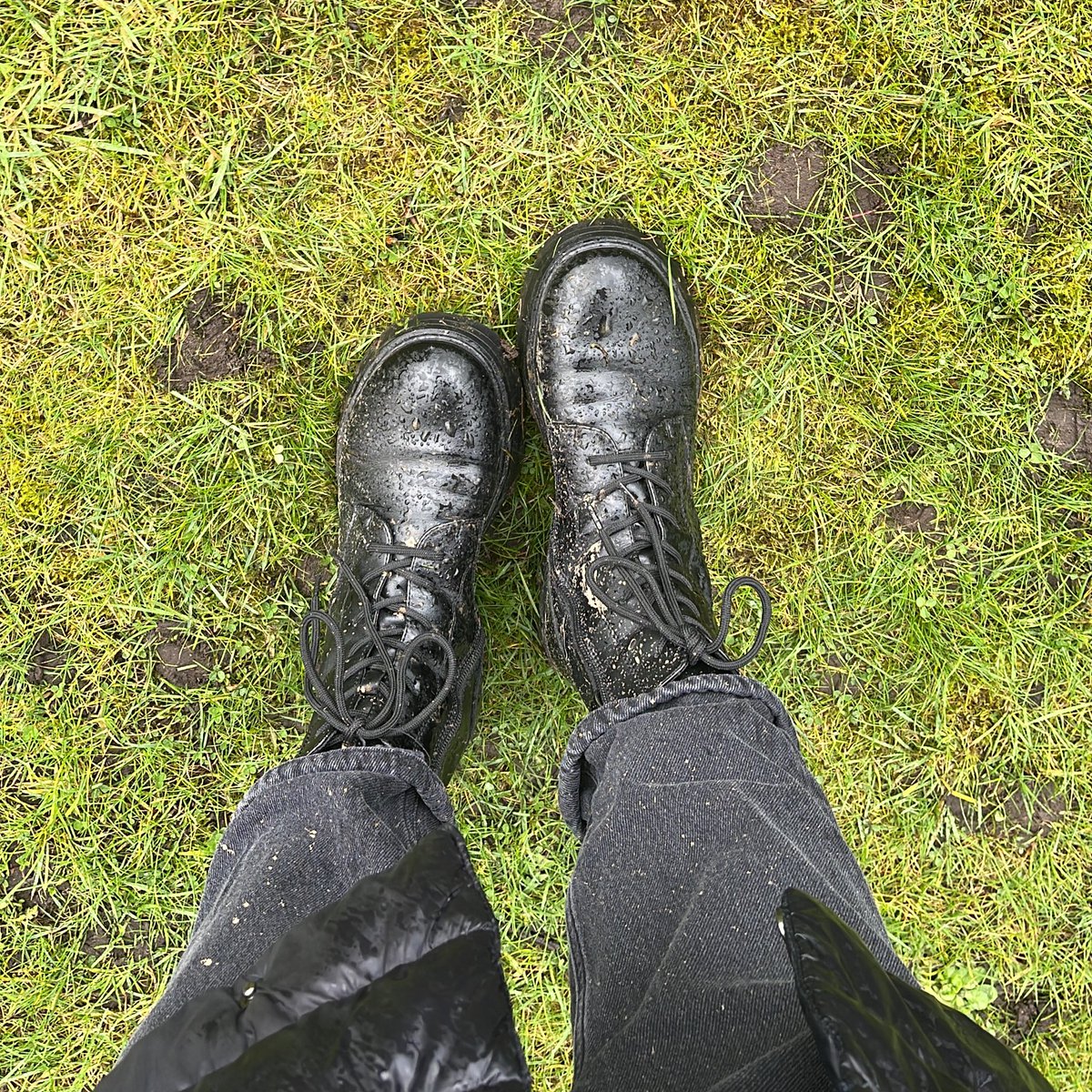 WGS Boarding tweet media