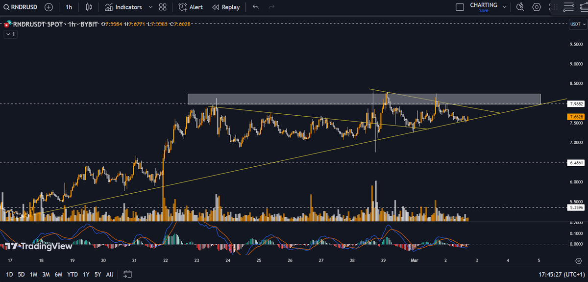 WH.OWL 🦉 tweet media