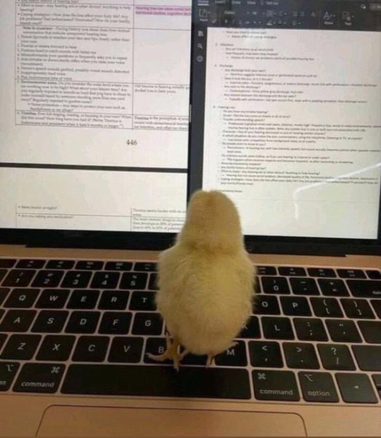 oku kızım elin horozuna muhtaç olma