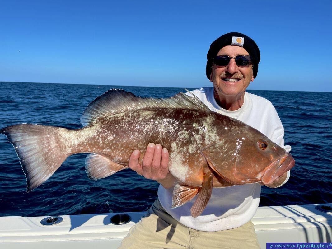 CyberAngler's tweet image. #Fishing #FishingReport #TampaBay #StPete #StPeteBeach #Clearwater #Florida Capt. Pete Borrego: Clearwater, John’s Pass and St. Pete Beach cyberangler.com/fishing-report…