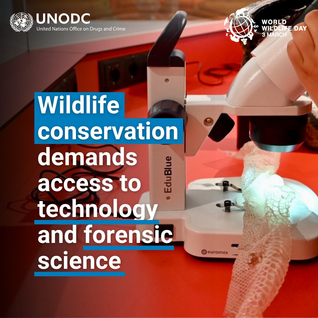 The illegal wildlife trade is a global plague worth billions per year.

To combat it, we must ensure that technology and forensic science for wildlife conservation are accessible worldwide, from crime scene to court.

#WWD2024 #EndWildlifeCrime