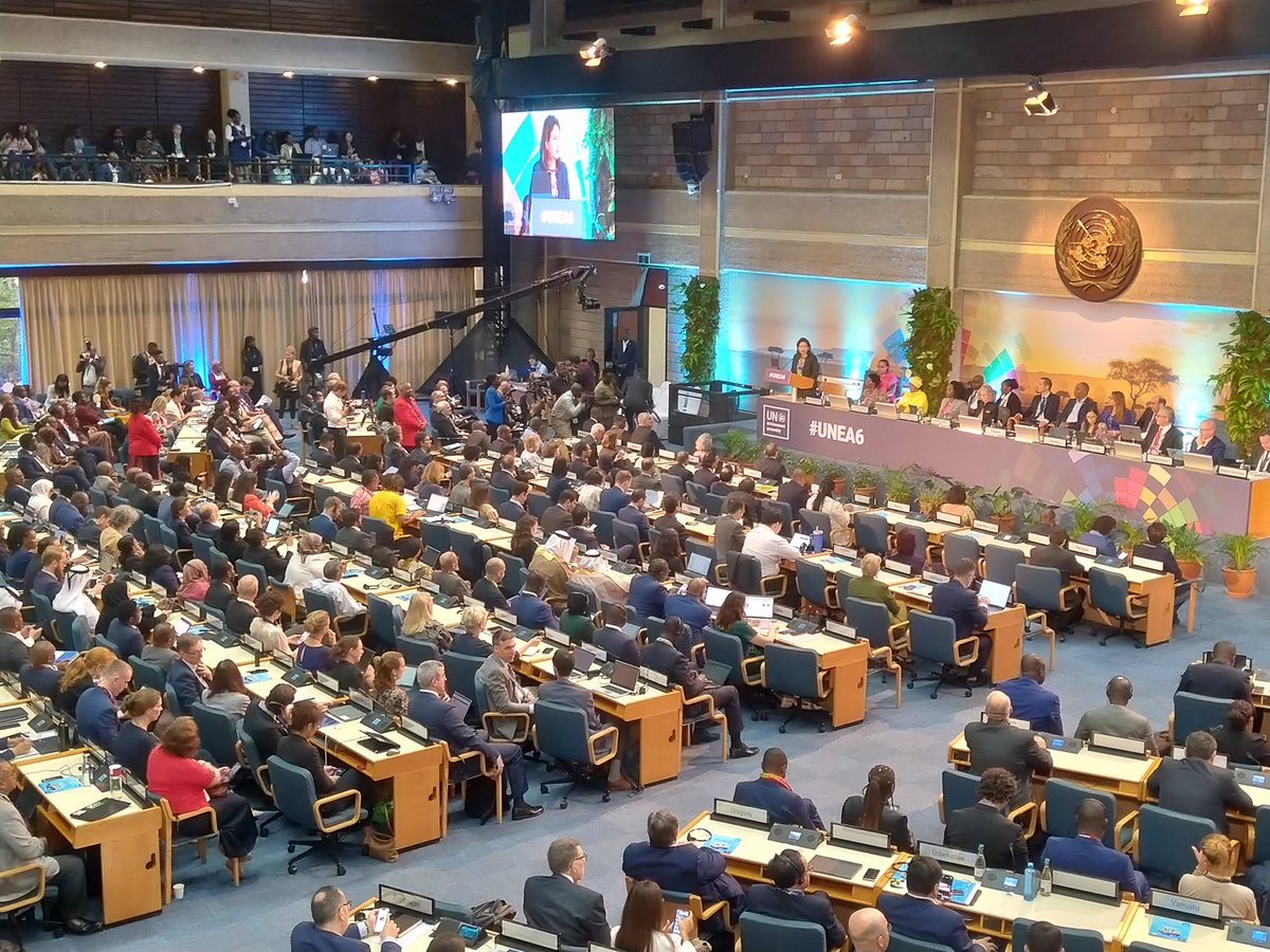 #UNEA6 finally came to close on Friday, with 15 resolutions and 2 decisions being adopted. I'm honored to have worked with the amazing @cymgunep to ensure that the adopted resolutions in Cluster E reflected the desires of the youth. The hard work continues. @policyguild