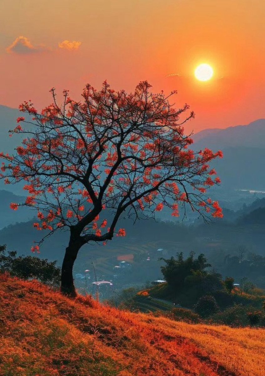 ili_naturelover's tweet image. Beautiful evening 🧡