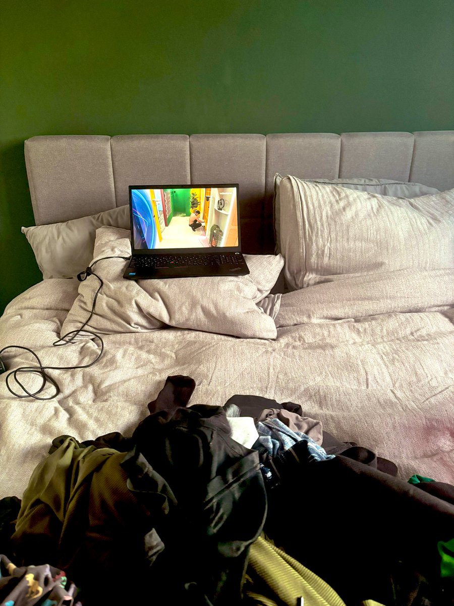 Jonna annoJ 🦓 tweet media