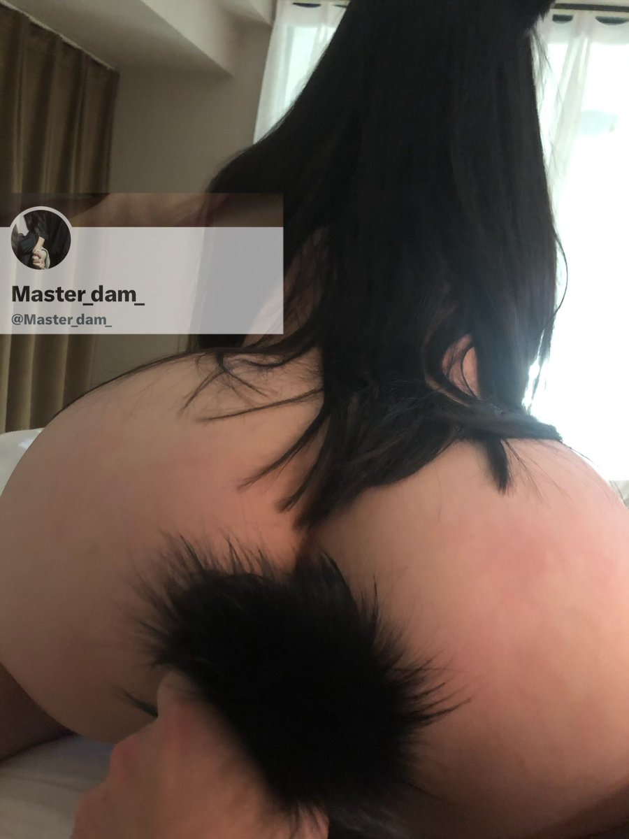Master_dam_'s tweet photo. 母畜每次发情的时候总会摇着丰臀，爬到床边，再低声下气地用舌头舔舐兽主的手背。在兽主的示意下，慢慢背对着，弯下腰撅起她的尾巴，希望能得到兽主的抚慰。兽主拽着母畜的尾巴就像是掌握了母畜的艺术般的生命一样———成功捕获母畜。
#小母狗 #长发及腰 #肛塞 #兽耳 https://t.co/cK61BMQ2A4