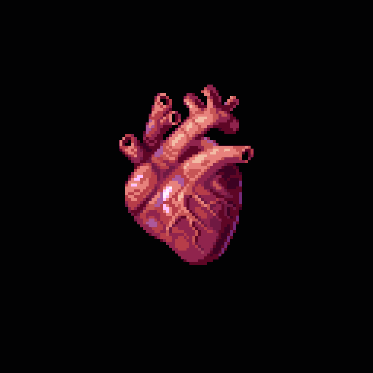 PixelArtJourney's tweet photo. Anatomical Heart, a few years apart #pixelart https://t.co/MUg4e3Idni
