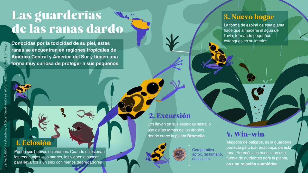 Javi Domingo Sierra tweet media