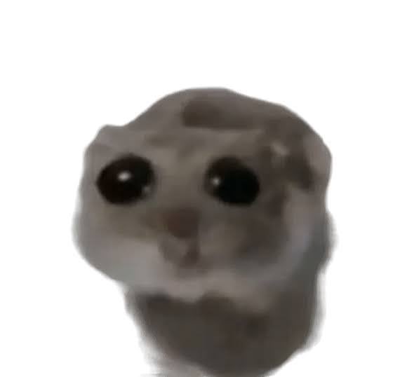 SadHamsterERC's tweet photo. Drooling over the sad Hamster 🤤 https://t.co/VH7kFr6MGk