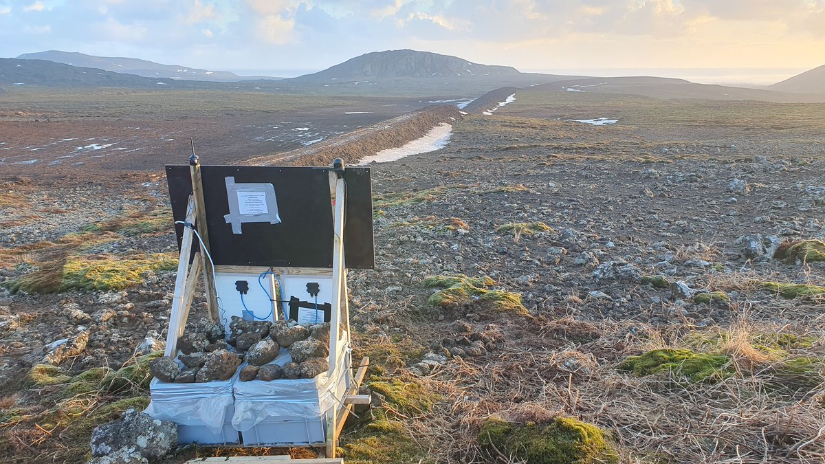 The ongoing #earthquake swarm is clearly visible at the @CamVolcSeis station installed on Sylingarfell, which was moved uphill last week to a safer position, behind the barrier wall.