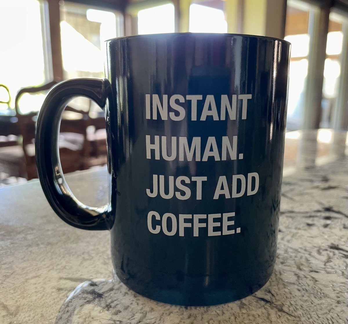 Drinking from my favorite coffee mug. Who else feels this way? I’m getting ready to work on my #WIP. #writingcommunity #writer #lovetowrite