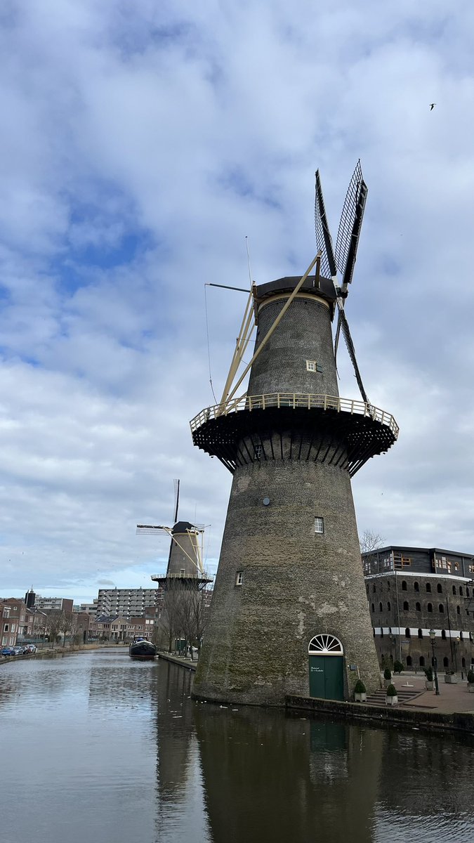 Henk Baas tweet media