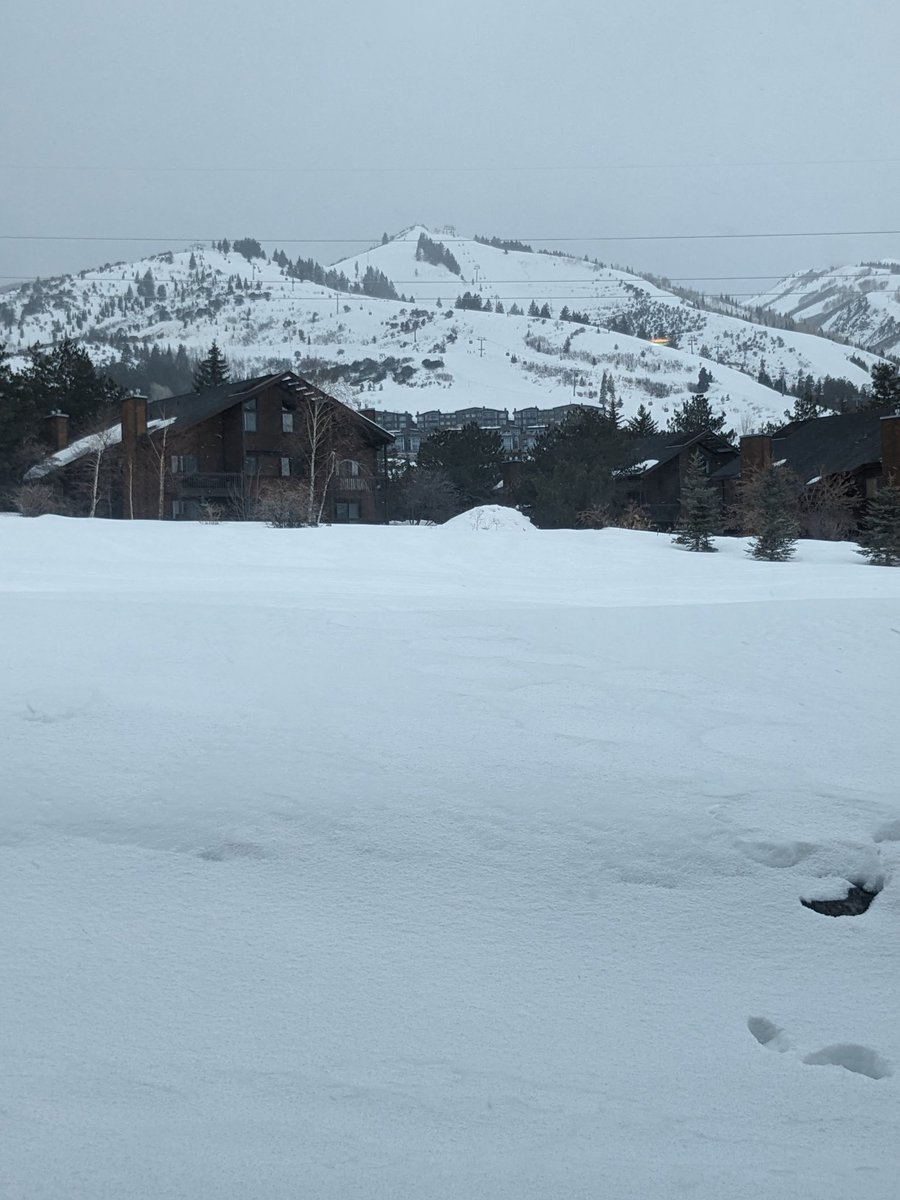 julie_jag's tweet photo. My parents and other family are in town for a ski weekend. Would be the first time my 79 yo dad has skied in 7 years.
It's its own sort of agony to have a slopeside condo with a view of the lifts and not be able to be on them. 🌬️🥺
#windhold @PCski #canyonsvillage https://t.co/bKrLCEiKe2