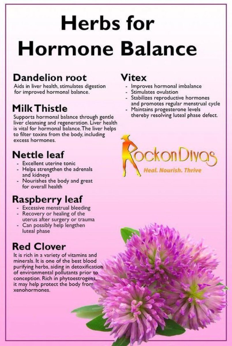 #Herbs
#HormoneBalance
#DandelionRoot 
#MilkThistle
#StingingNettleLeaf
#RedRaspberryLeaf
#RedClover 
#Vitex