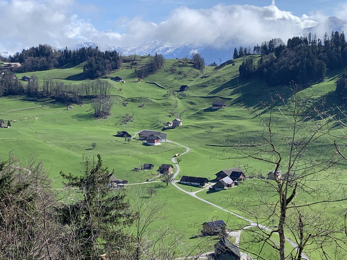 Beautiful Swiss Alps in the Background near Lucerne, Switzerland. A must see if visiting Swiss 😊