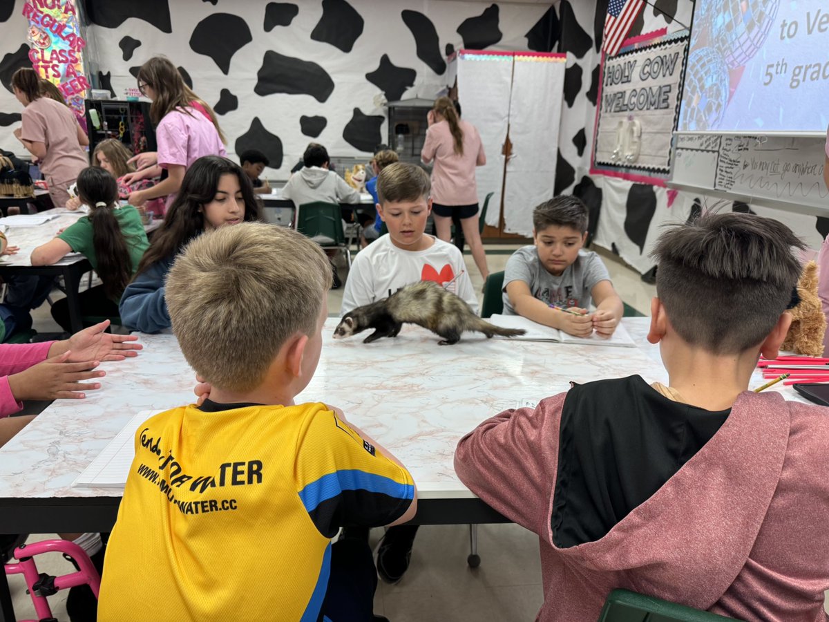 CFHS_Knights's tweet image. Ms. Garcia’s Vet Med students taught 5th Graders from #MossmanElem all about different species, their habitats, and fun facts! What an engaging, hands-on learning experience for all our Knights! #villagecollaboration #LeadingandLearning 💚⚔️🖤