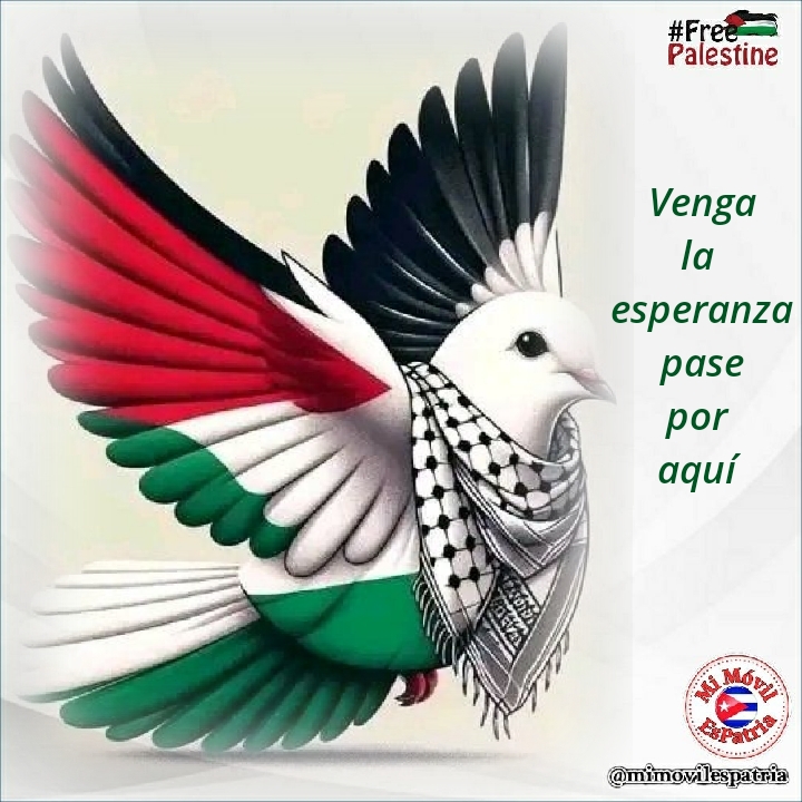 🌟Venga la esperanza pase por aquí
#CubaPorLaVida
#FreePalestine
#ShutItDown4Palestine
