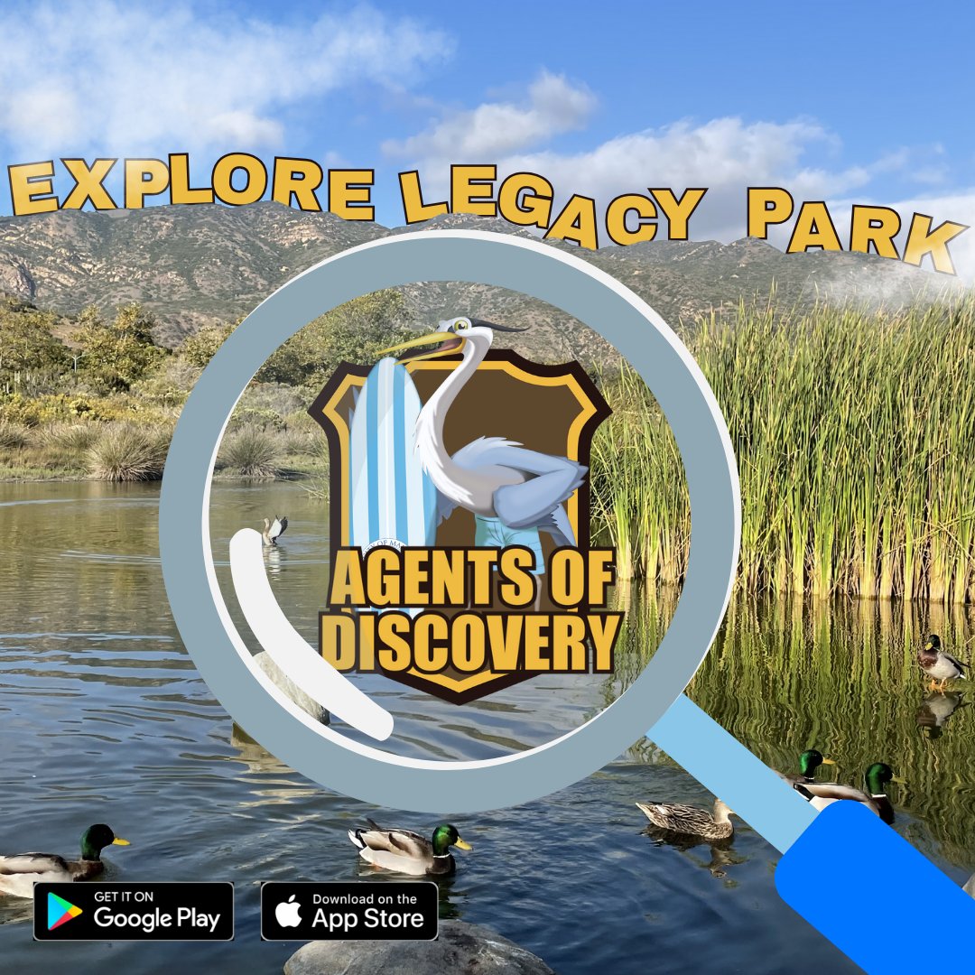 CALLING ALL SECRET AGENTS - It’s time to explore Legacy Park with the geo-triggered app, Agents of Discovery and receive a badge for completing the mission! For more information visit MalibuCity.org/Agents. #agentsofdiscovery #legacypark #exploration #malibu