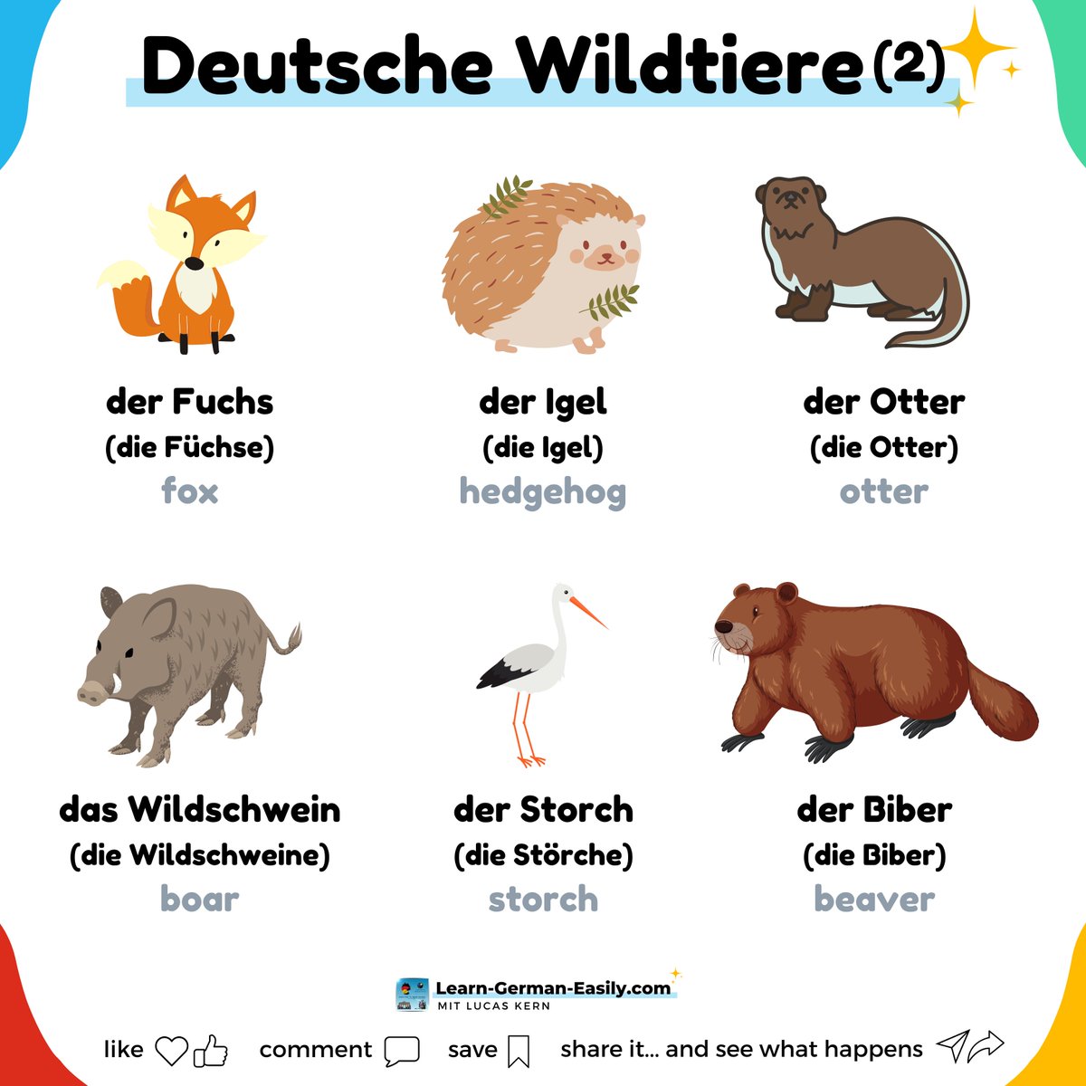 LearnXDGerman's tweet image. 🇩🇪

🦊🐗🦦 Let&apos;s go into the woods!

Can you name these wild animals? If you can&apos;t, today is your chance to learn.

Learn to master German and speak fluently the easy way!
learn-german-easily.com/7-rule-challen…

___
#learngermaneasily #germanforbeginners #germanwords