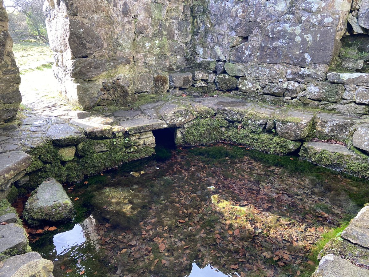 A tranquil St Cybi’s Well this morning