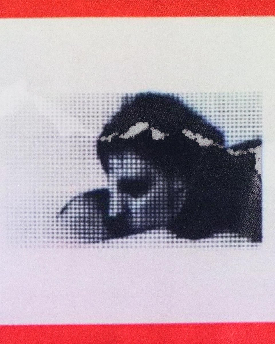 buvard_'s tweet image. face/guide