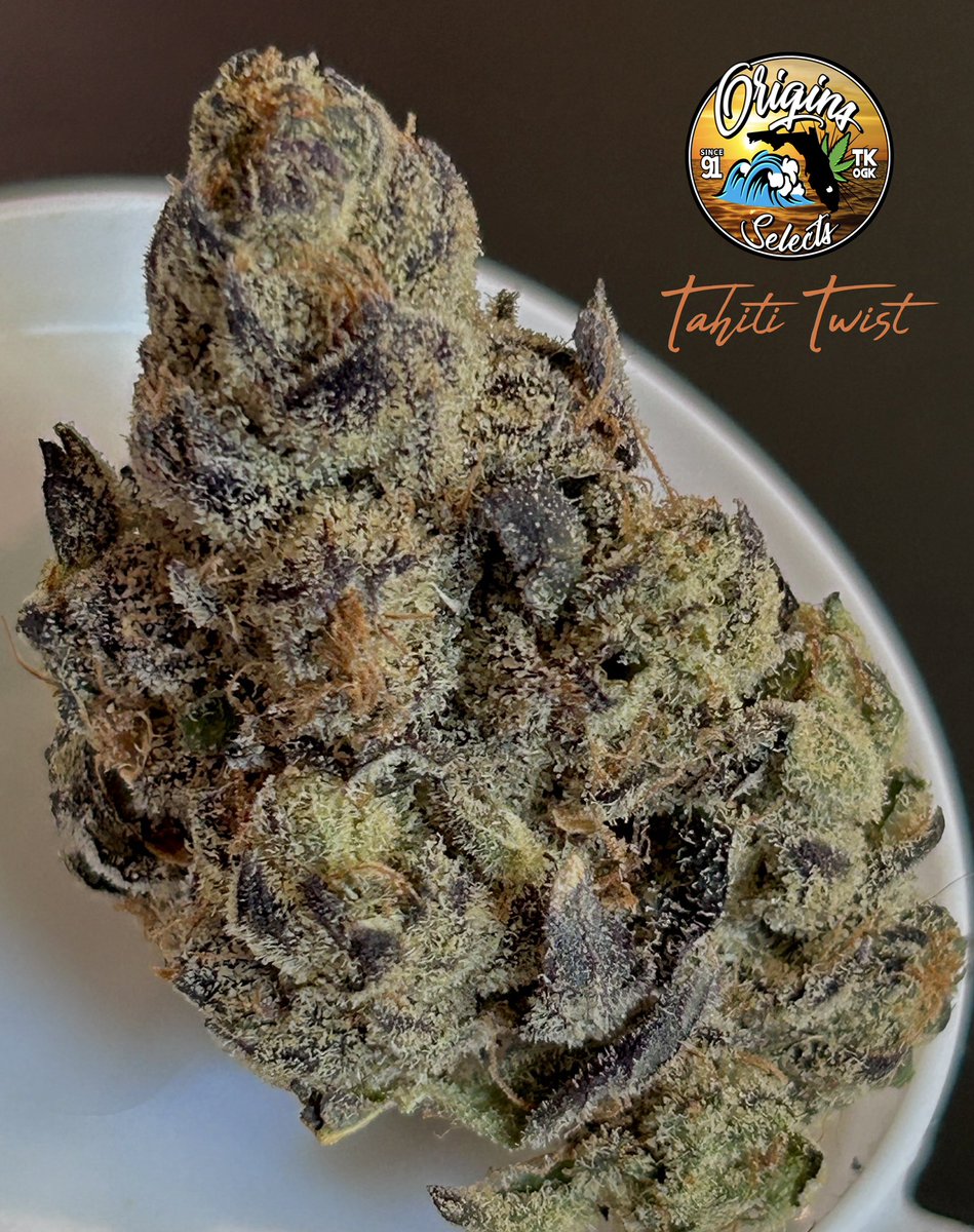 Origins_TK tweet media