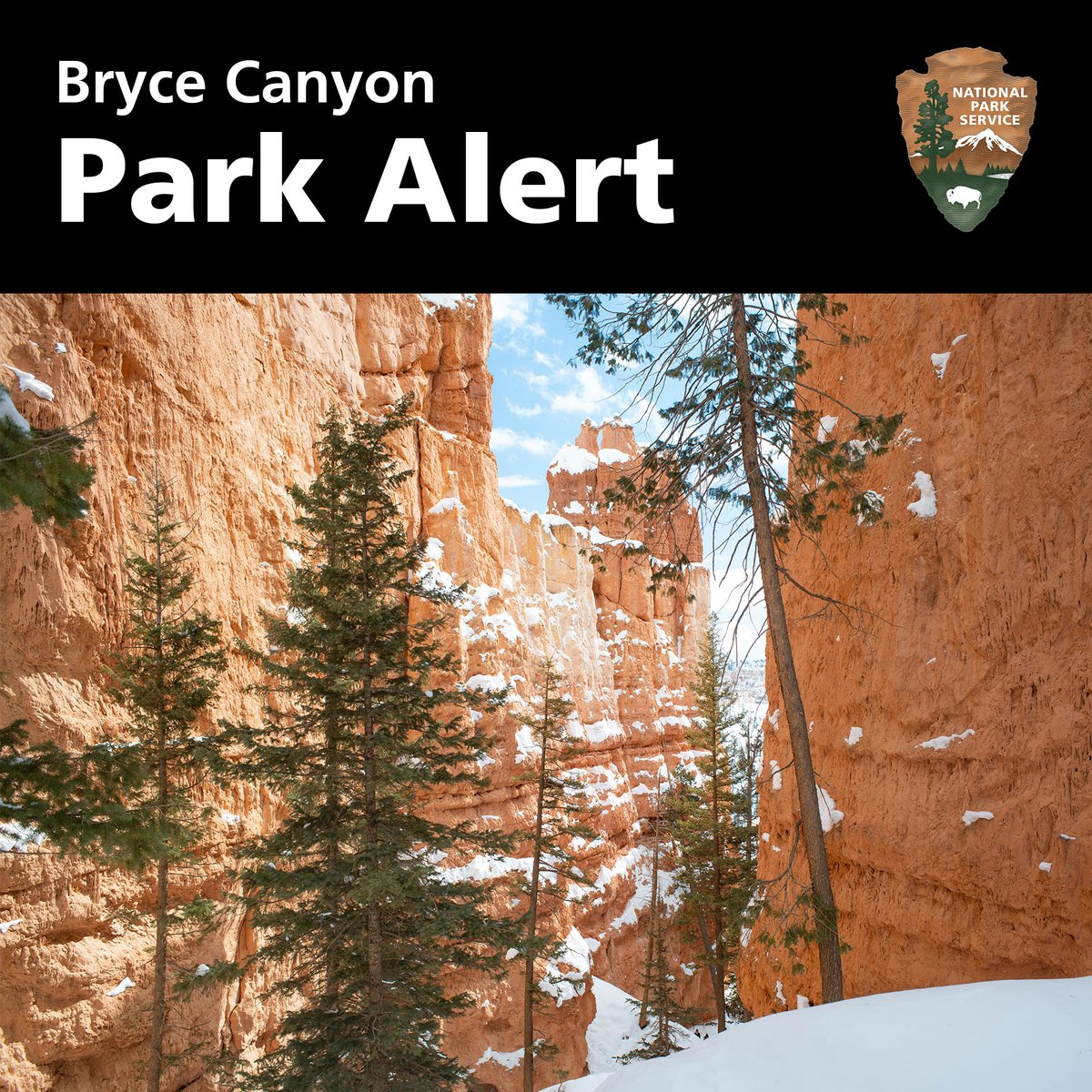 📷 The main road is currently open to Mile 3 (of 18) due to snowy conditions. The Bryce Amphitheater area remains open. To stay up to date with current conditions and alerts please visit go.nps.gov/BryceConditions