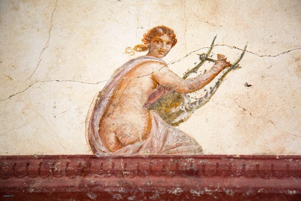 Nora Garibotti tweet media