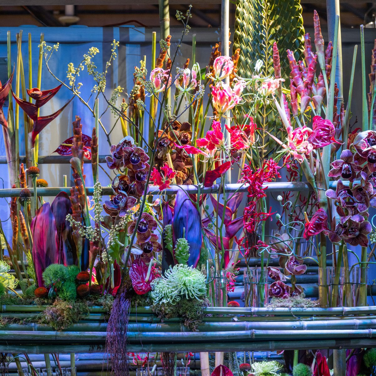 Spring has arrived! We can't wait to welcome you to the 2024 Philadelphia Flower Show. Explore a flowering world where nature’s beauty meets the passion of designers from all over the globe.🌷 #PhiladelphiaFlowerShow #UnitedbyFlowers 🎟️ bit.ly/3ImPaQi