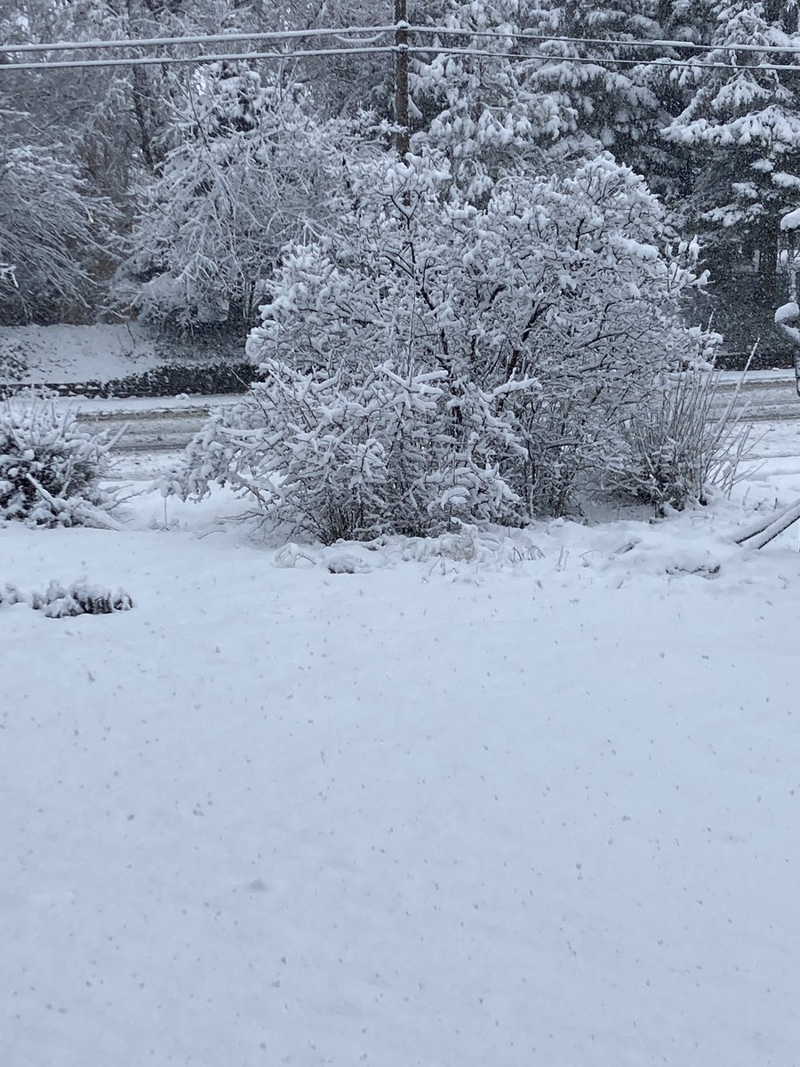 March came in like a lion…
#spring #springsnow