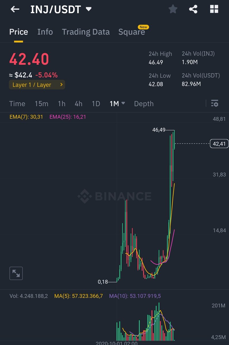 WIZZ🥷 ( beware scammers ) tweet media