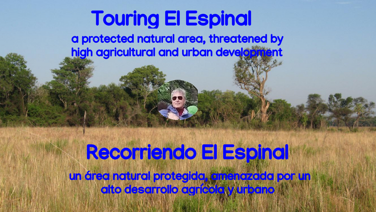 belmaxhugo's tweet photo. Recorriendo El Espinal, un espacio natural protegido, amenazado por un alto desarrollo agrícola y urbano. https://t.co/WIiJ3kEnPV https://t.co/Ku8JB3Udv9