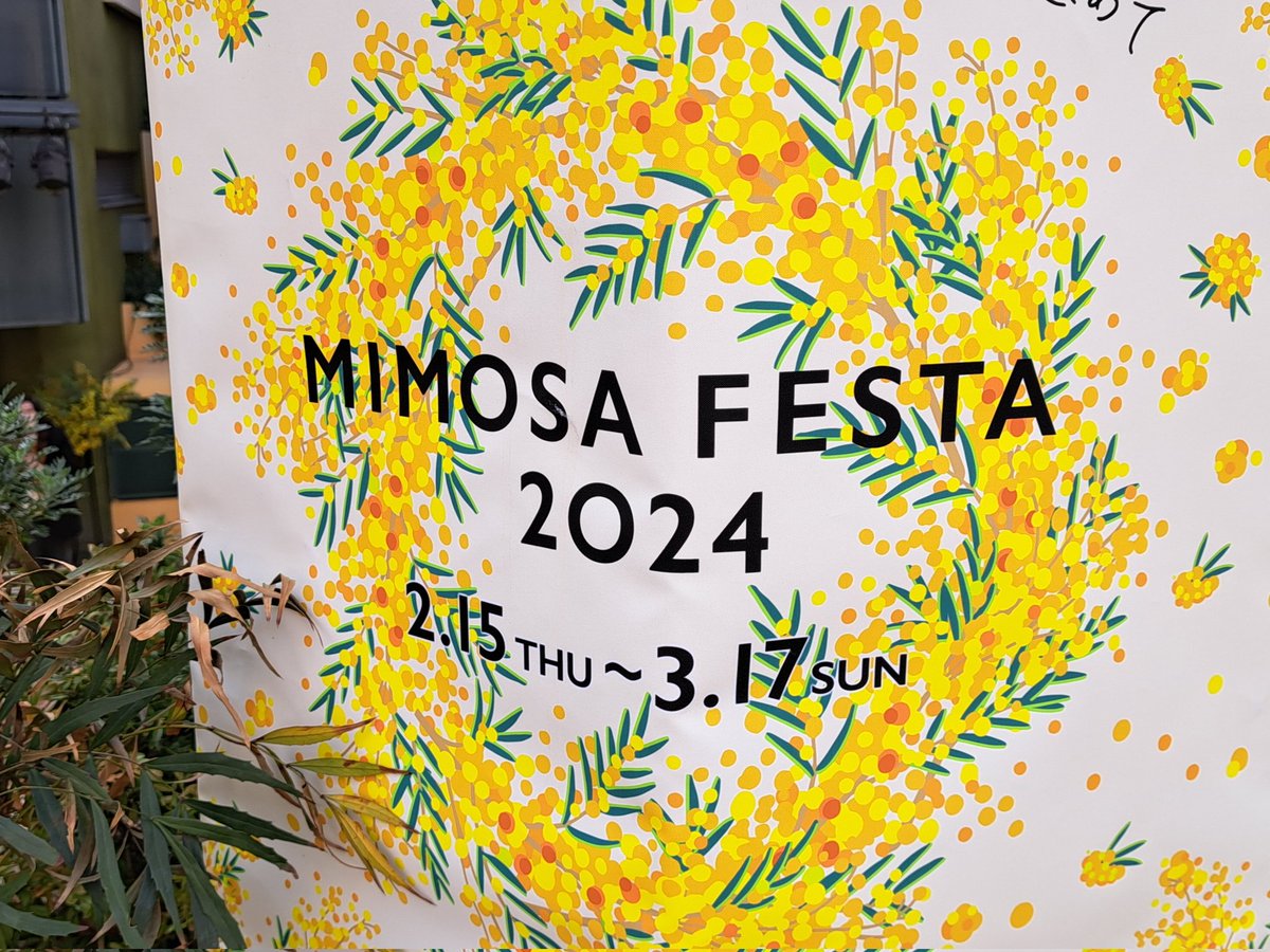 おはようございますっ
本日も引き続き、【MIMOSA FESTA2024 】にてパフォーマンスしておりますっ♪
11:30～/12:30～/16:00～の3回ですっ！！
お近くの方、お時間ある方は是非に！！
#大道芸
#MIMOSAFESTA
#LACITTADELLA
