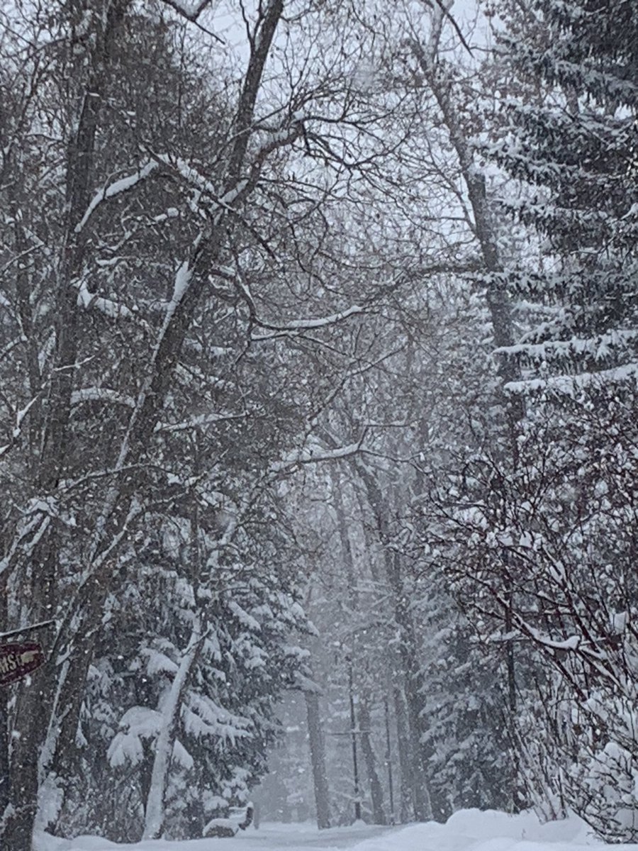 Shell 🇨🇦 (@my_living_shell) on Twitter photo There's something magical about the beauty of snow. Surrounded by my Cantaré Children's Choir family, delicious food (<a href="/RiverCafeYYC/">River Cafe</a>), and inspiration from Graeme C. (a remarkable young man near and dear to my heart). There's something magical about the beauty of snow. Surrounded by my Cantaré Children's Choir family, delicious food (<a href="/RiverCafeYYC/">River Cafe</a>), and inspiration from Graeme C. (a remarkable young man near and dear to my heart).
