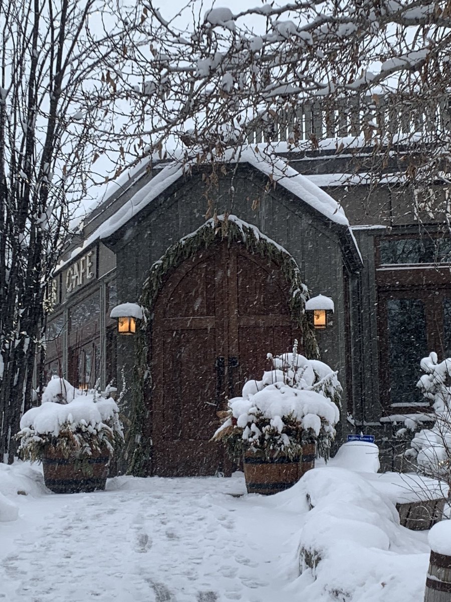 Shell 🇨🇦 tweet media