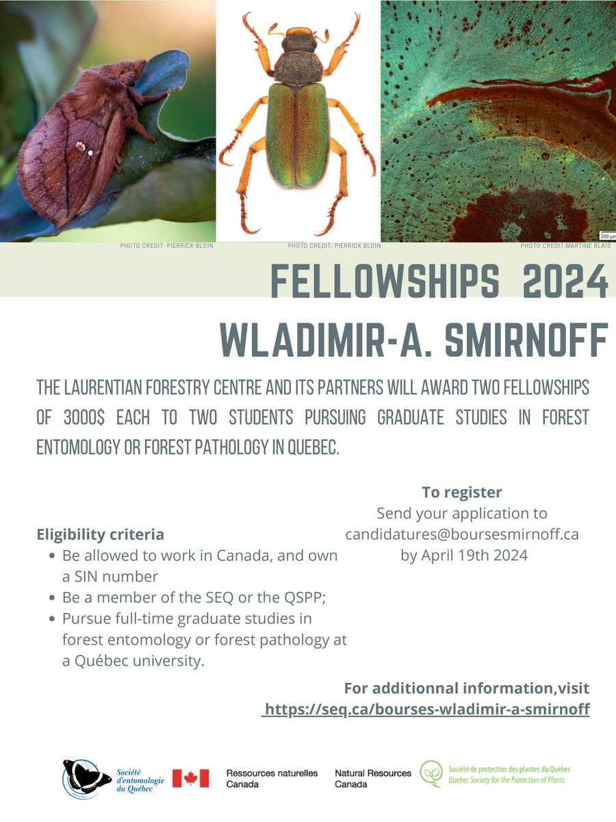 Société d'entomologie du Québec (@socentomoqc) on Twitter photo L’édition 2024 des Bourses Wladimir-A.-Smirnoff <a href="/RNCan/">Ressources naturelles</a> <a href="/SPPQ_QSPP/">SPPQ-QSPP</a>, est lancée! Deux bourses de 3000 $ pour des études graduées en entomologie forestière ou en pathologie forestière au Québec seront offertes.🪲🌲Candidatures reçues jusqu’au 19 avril 2024 seq.ca/bourses-wladim… L’édition 2024 des Bourses Wladimir-A.-Smirnoff <a href="/RNCan/">Ressources naturelles</a> <a href="/SPPQ_QSPP/">SPPQ-QSPP</a>, est lancée! Deux bourses de 3000 $ pour des études graduées en entomologie forestière ou en pathologie forestière au Québec seront offertes.🪲🌲Candidatures reçues jusqu’au 19 avril 2024 seq.ca/bourses-wladim…