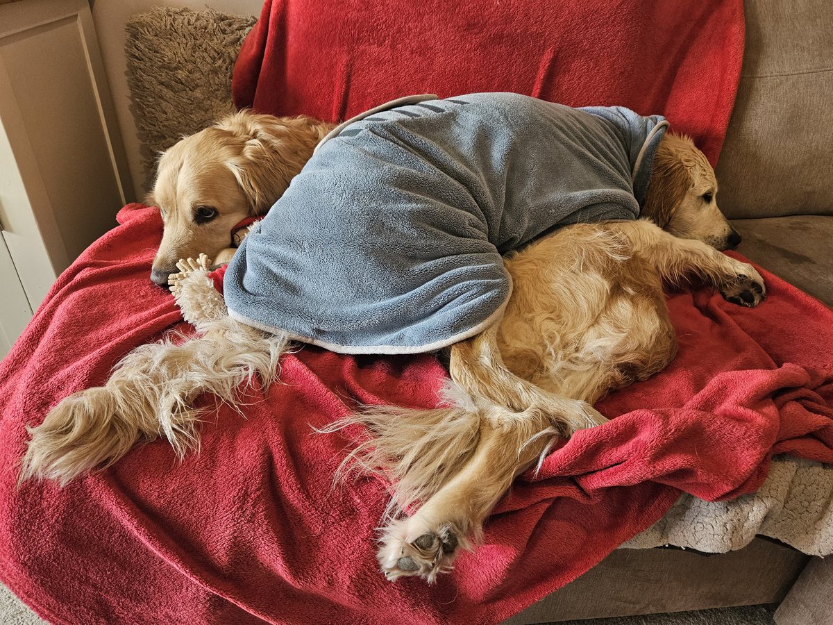 That's a comfy cushion!