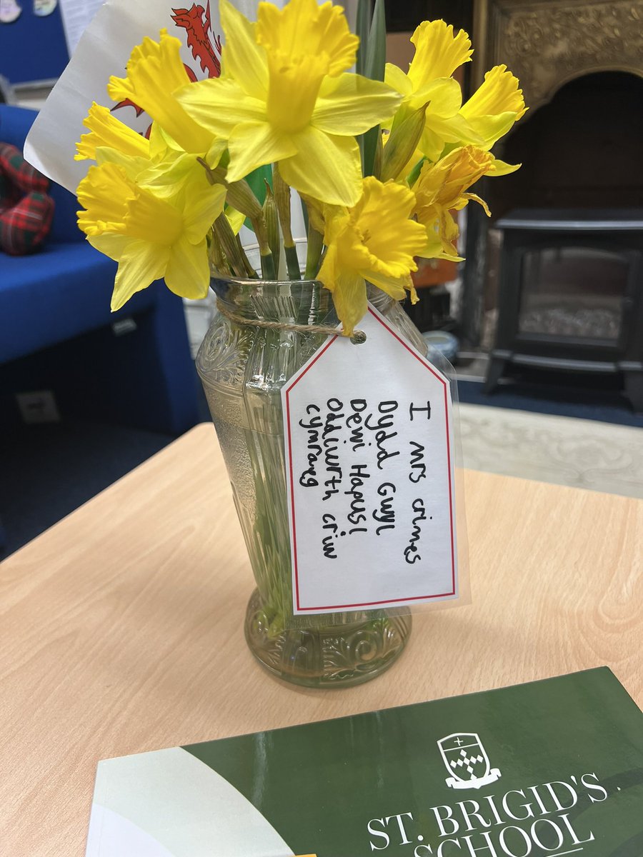 StBrigidsSch's tweet image. Criw Cymraeg have been handing out beautiful gifts of daffodils this week for #DyddGwylDewi ! Diolch yn fawr iawn! 🏴