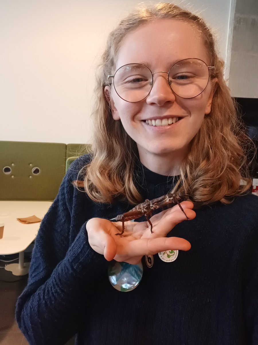 EntoBethWright's tweet photo. The most wonderful day at @SISF_2024 with @HAU_Entomology. There were so many great organisations, many insects, really interesting and well presented lectures especially from @bugsnbrass on his PhD, and some beautiful playdough creations from the kids https://t.co/G3cpglta5S