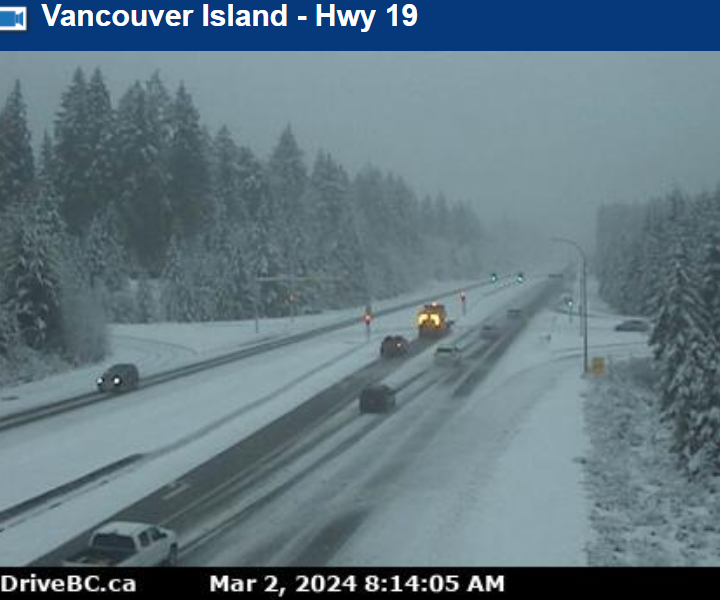 CAUGHT! Caught on camera, in the wild!

Crews are out plowing #BCHwy19 & making the roads safe for you. Give yourself extra time & drive to conditions if traveling the #VanIsle #BCHwy today.

Stay back from plows & give them space to work. @TranBCVanIsle