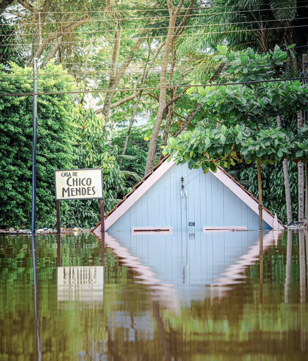 Quando Chico Mendes escreveu a carta “Atenção Jovens do Futuro”, ele estava enviando uma mensagem para essa geração. 

A última geração que pode salvar o planeta! 

Foto: Felipe 
@felipecosta_fotografo