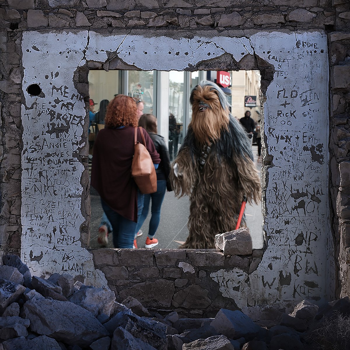 Steve Bennett, Lens-Based Visual Artist tweet media