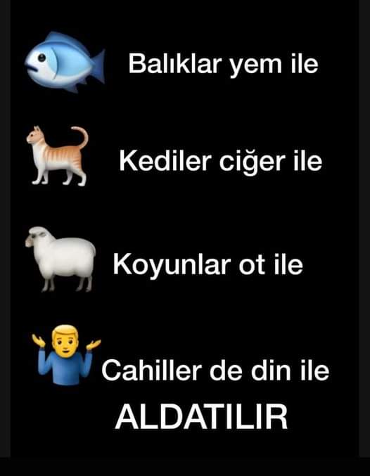 Aynen öyle