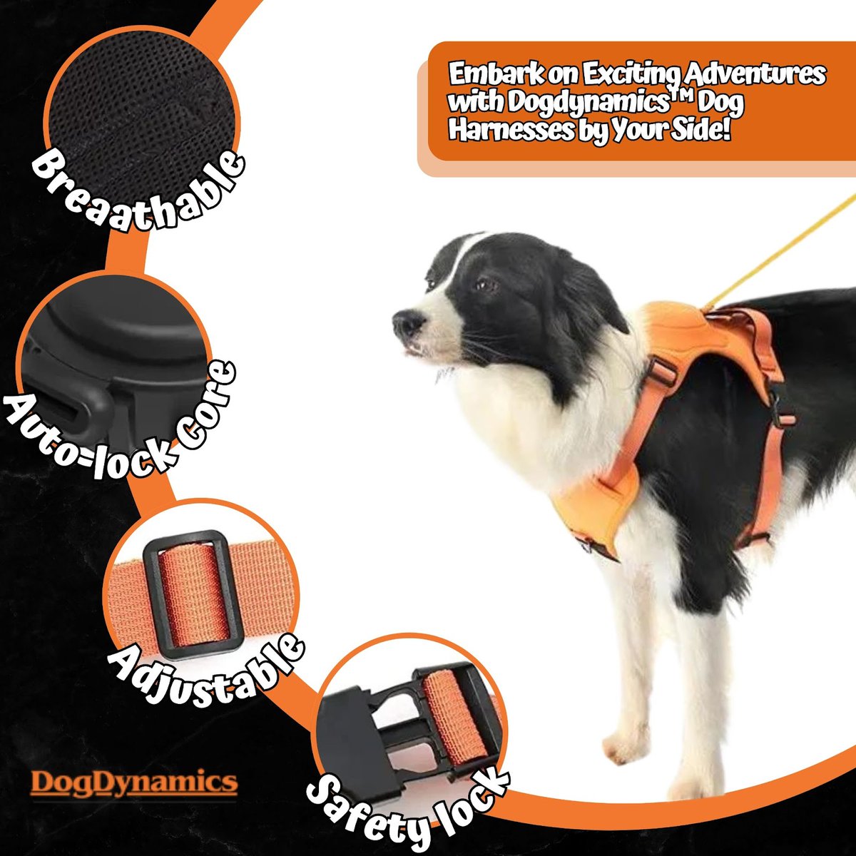 dogdynamicstore's tweet image. Explore new horizons with your beloved furry friend using Dogdynamics™ Dog Harnesses! 🐾 Designed for comfort and resilience, our harnesses ensure your dog&apos;s safety and stability during walks and outdoor escapades.
-----
Shop Now: dogdynamicsstore.com/products/dogdy…
.
#Dogdynamics