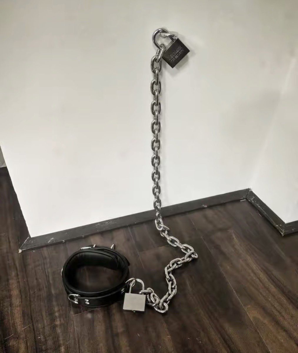 Your collar is waiting for you in my basement.