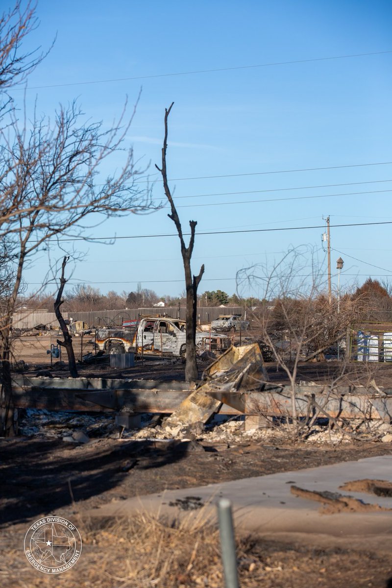 Texas Division of Emergency Management tweet media