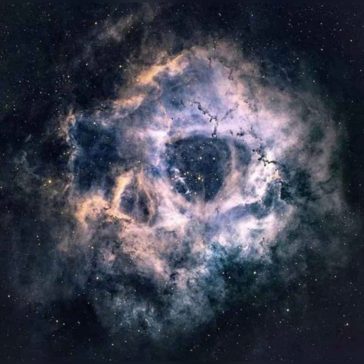 Rosette Nebula (though it really looks like a skull .)