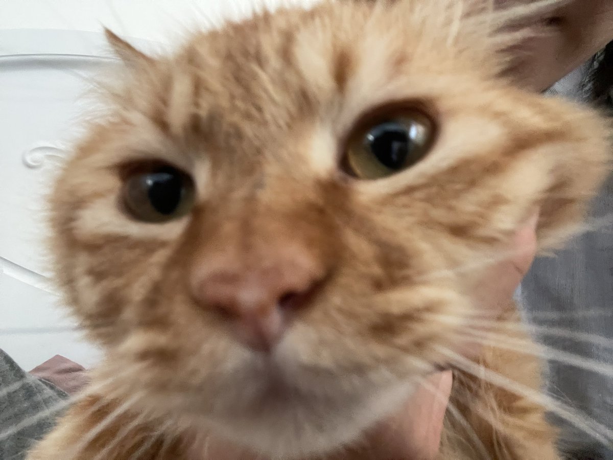 TIME (@litime33) on Twitter photo 