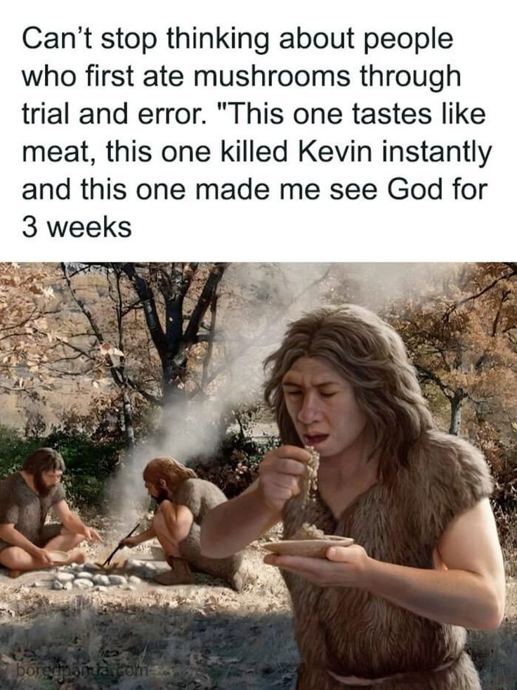 ReReloveslaughs's tweet image. 🍄😂